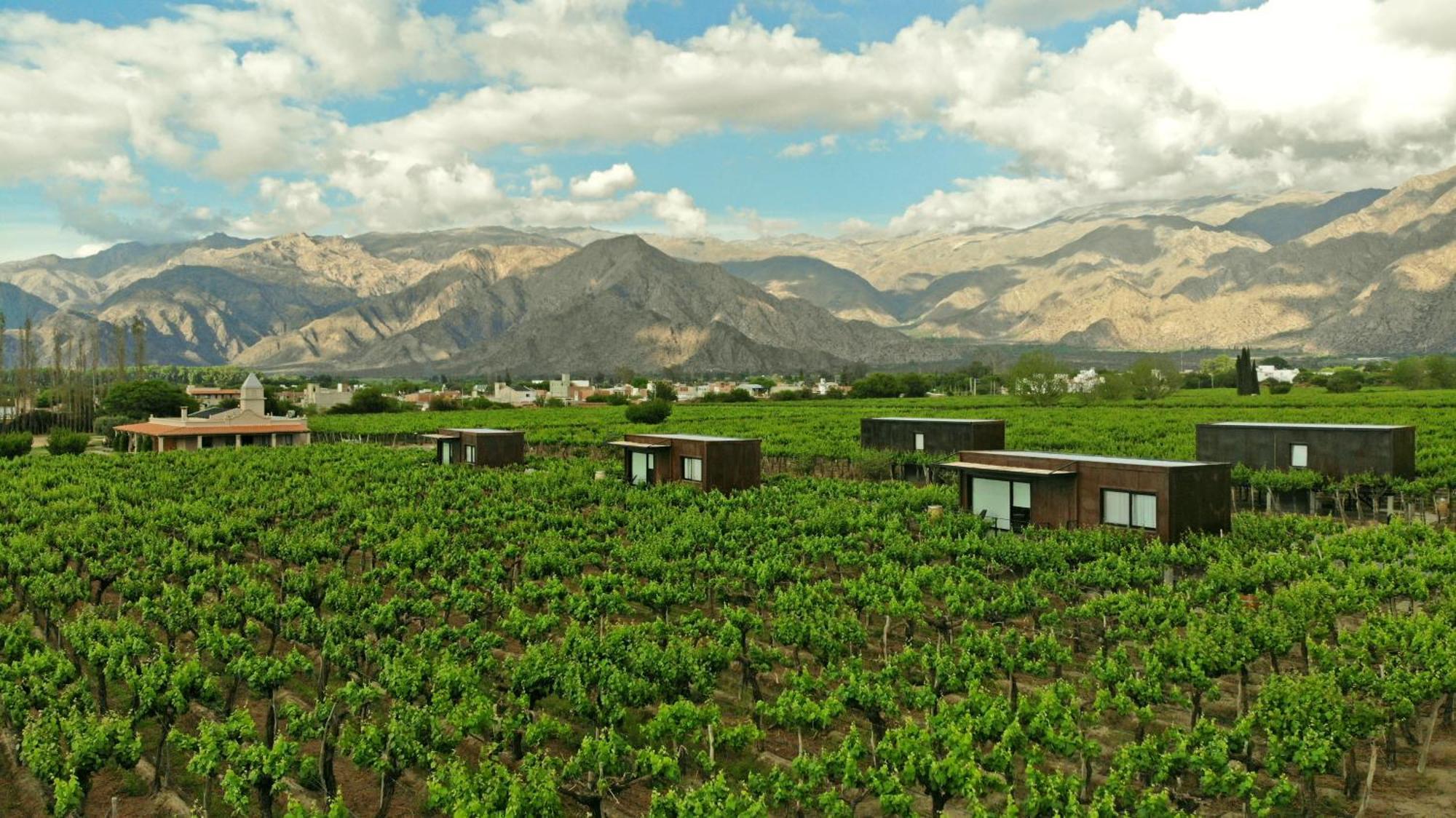 El Porvenir Wine Lodge Cafayate Exterior foto