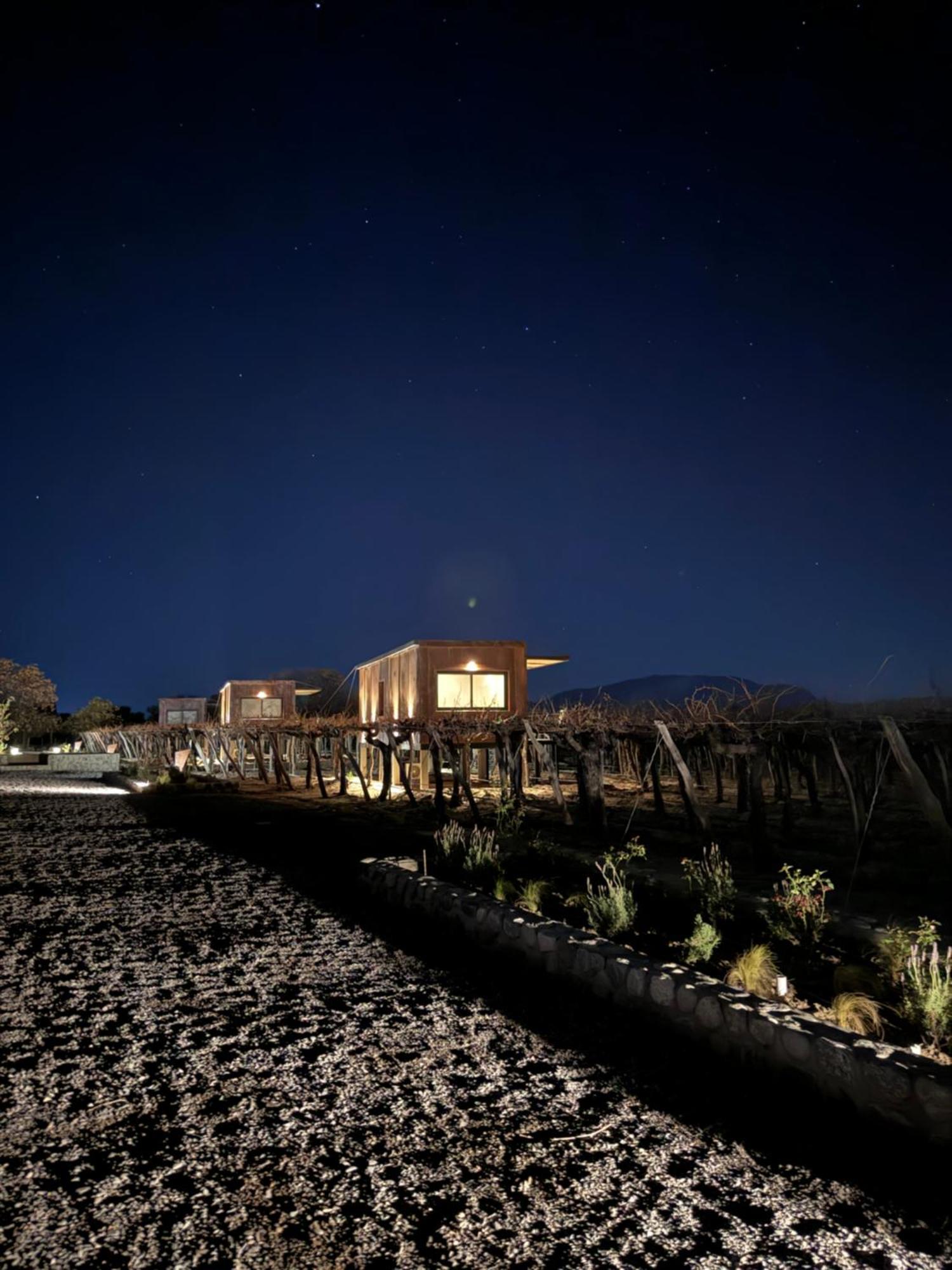 El Porvenir Wine Lodge Cafayate Exterior foto